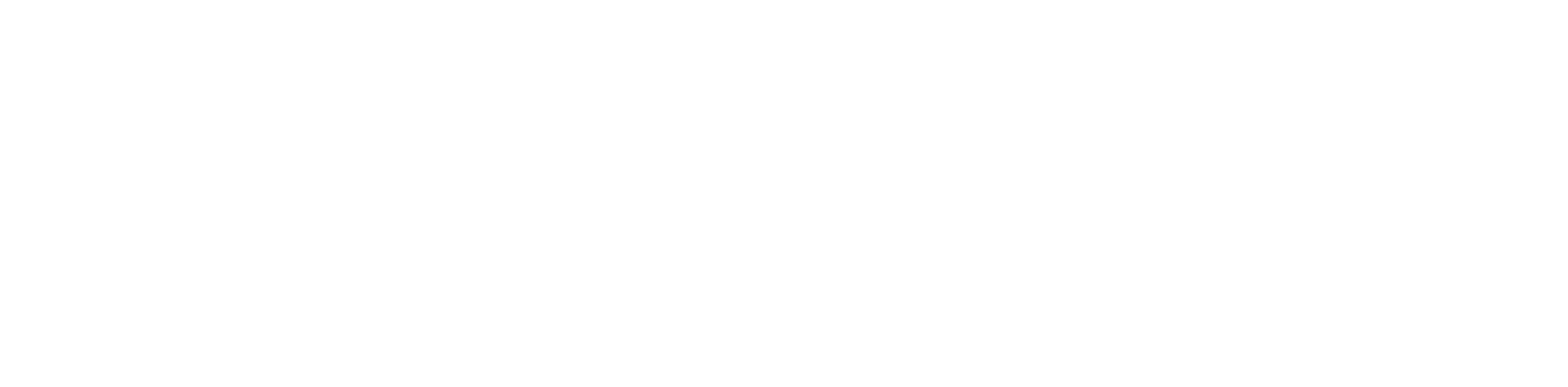 KAGIS Webshop
